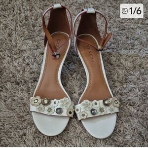 Coach Tea Rose Women's Cream and Tan Floral Sandals